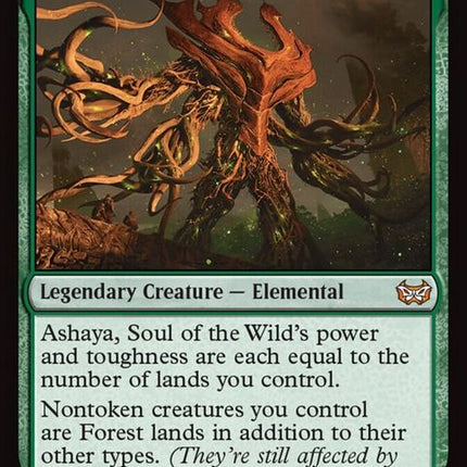 170-ashayasoulofthewild