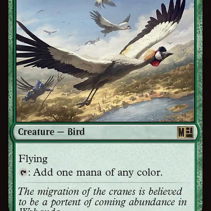 170-birdsofparadise