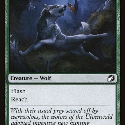 170-boundingwolf