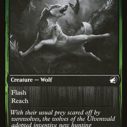 170-boundingwolf