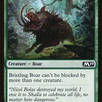 170-bristlingboar