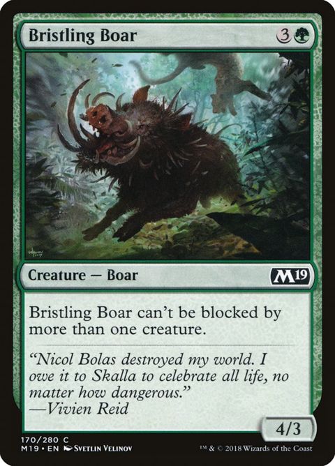170-bristlingboar