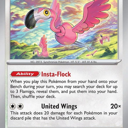 170-flamigo