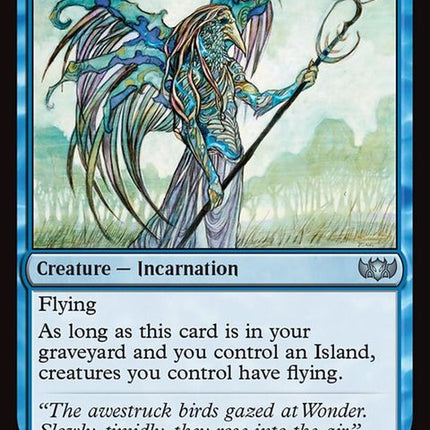 170-wonder
