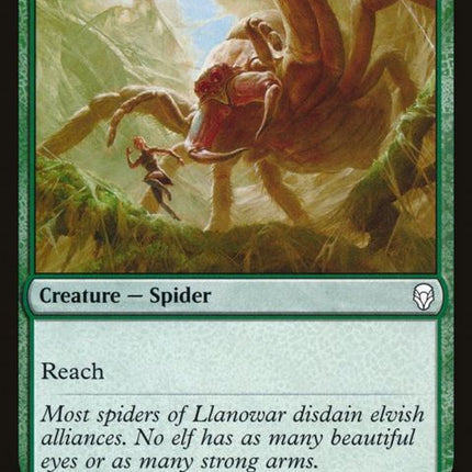 171-mammothspider