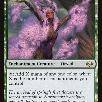 171-sanctumweaver