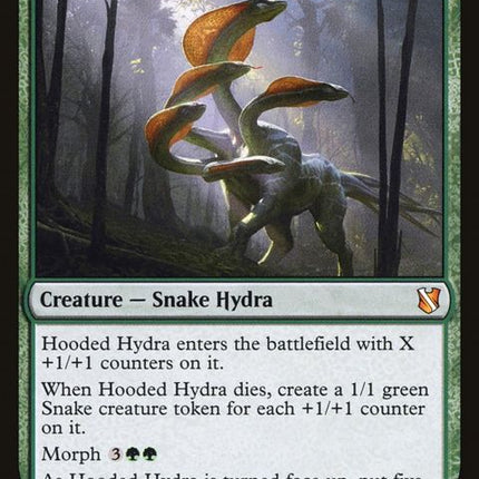 172-hoodedhydra