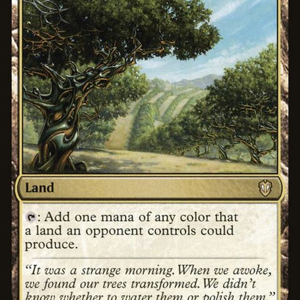 173-exoticorchard