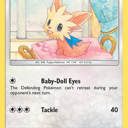 174-lillipup