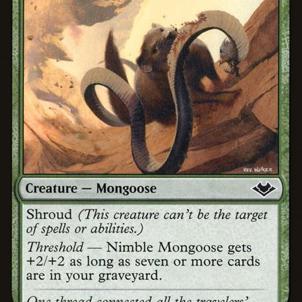 174-nimblemongoose