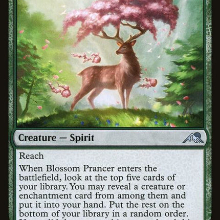 175-blossomprancer