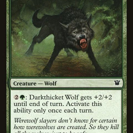 175-darkthicketwolf