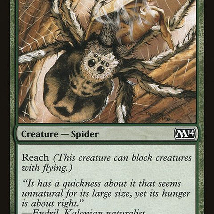 175-giantspider