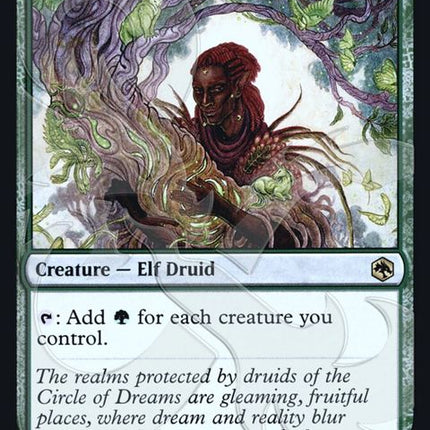 176a-circleofdreamsdruid