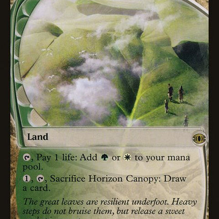 177-horizoncanopy