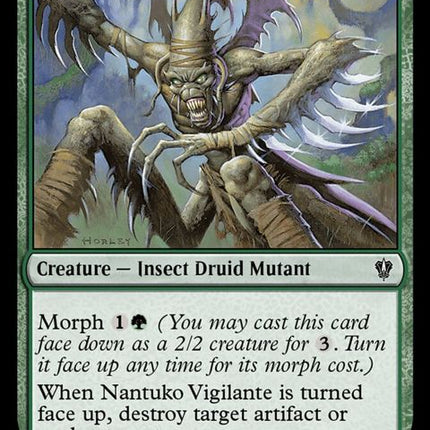 177-nantukovigilante
