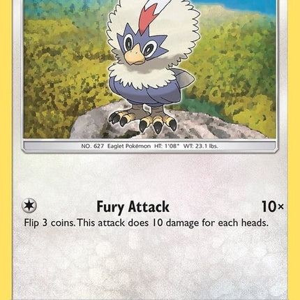 177-rufflet