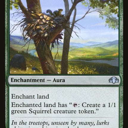 177-squirrelnest