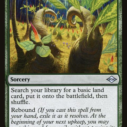 177-terramorph