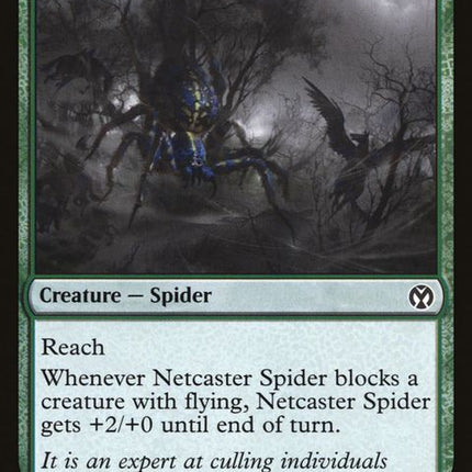 178-netcasterspider