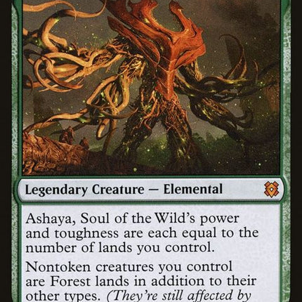 179-ashayasoulofthewild