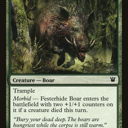 179-festerhideboar