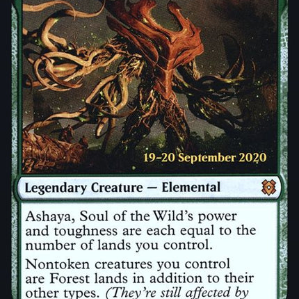 179s-ashayasoulofthewild