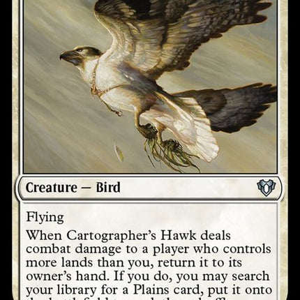 18-cartographershawk