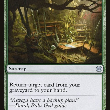 180-balagedrecoverybalagedsanctuary-a