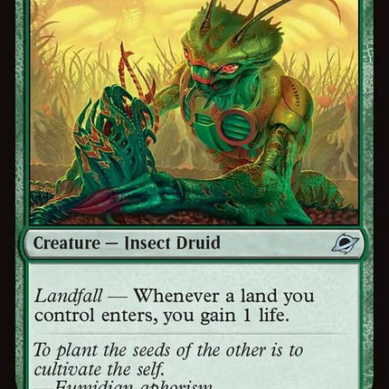 180-eumidianterrabotanist