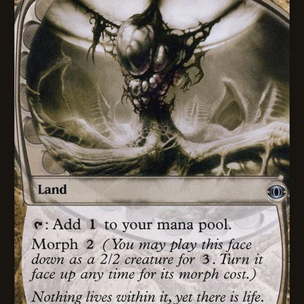180-zoeticcavern