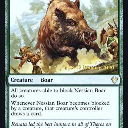 181s-nessianboar