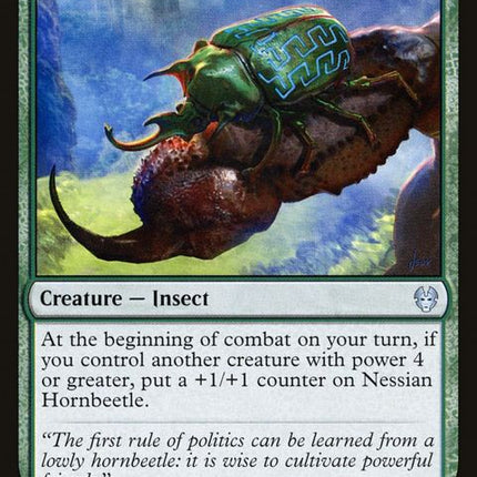 182-nessianhornbeetle