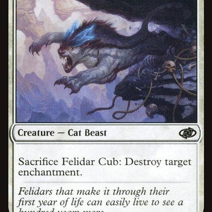 183-felidarcub