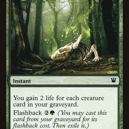 183-gnawtothebone