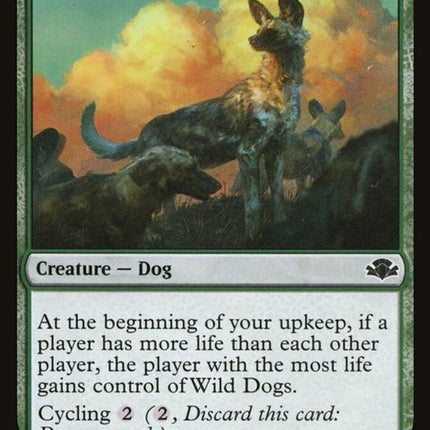 183-wilddogs
