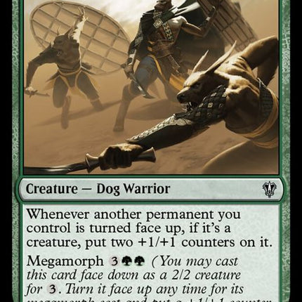 184-saltroadambushers