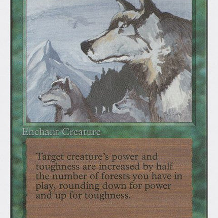 185-aspectofwolf
