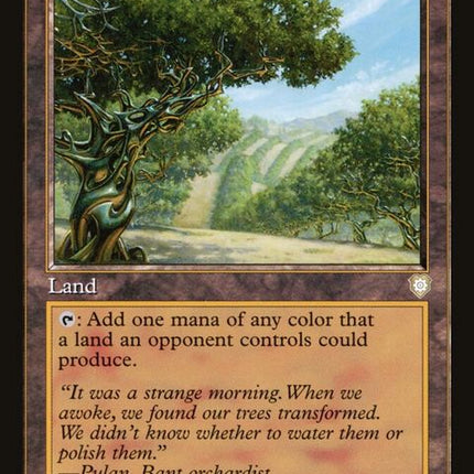 185-exoticorchard