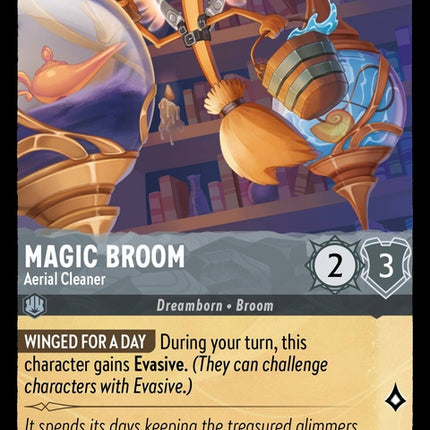 185-magicbroom-aerialcleaner