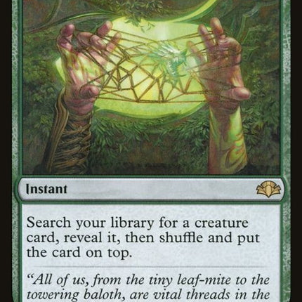 185-worldlytutor