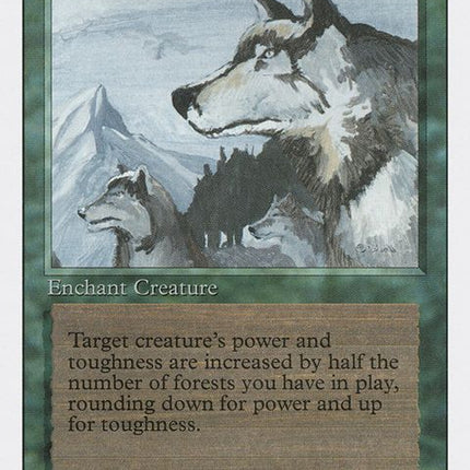 186-aspectofwolf