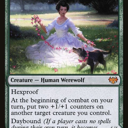 187-avabruckcaretakerhollowhengehuntmaster