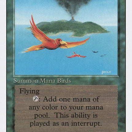 187-birdsofparadise