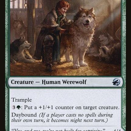 187-houndtameruntamedpup