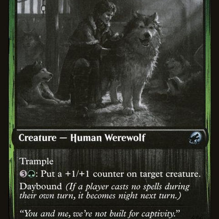 187-houndtameruntamedpup