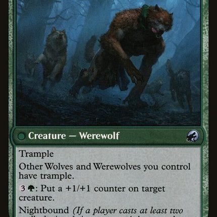 187-houndtameruntamedpup