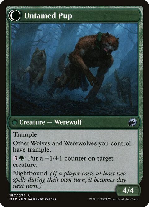 187-houndtameruntamedpup