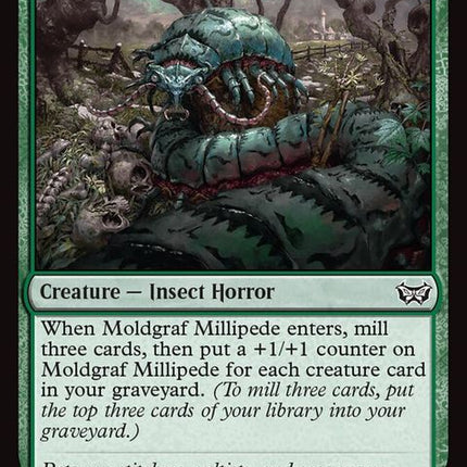 188-moldgrafmillipede