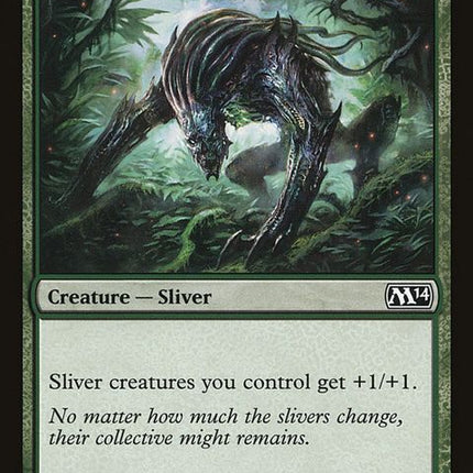 189-predatorysliver